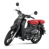 super-cub-c125-1
